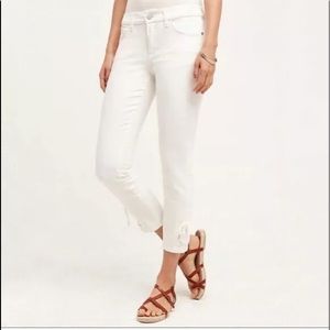 Pilcro and The Letterpress Sz28 Stet LaceUp Crop👖